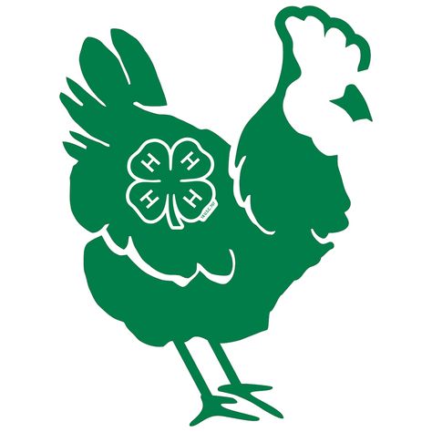 Show your 4-H pride by adding this fun decal to your car, office, or home window! It will adhere to any smooth glass, metal or plastic surface, and can be removed with no residual effect after heated with a blow dryer. Weather and fade resistant. Size: 3.5"x 2.75" 4-h Poster Ideas, Horticulture Projects, 4h Crafts, 4 H Clover, 4h Projects, 4h Ideas, Ag Teacher, 4 H Club, Cowgirl Life