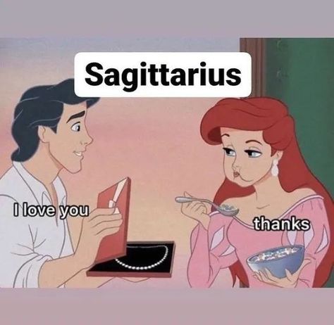 Sagittarius Funny, Zodiac Sagittarius Facts, Libra Pisces, Capricorn Leo, Sagittarius Astrology, Sagittarius Quotes, Zodiac Characters, Different Zodiac Signs, Unique Words Definitions