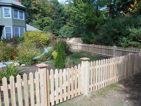 Picket Fence Photos - Main Line Fence Colonial Picket Fence, Short Wood Fence, Timber Picket Fence, Natural Wood Picket Fence, Cedar Picket Fence, Diy Picket Fence, Short Fence Ideas, Picket Fence Ideas, Picket Fence Gate