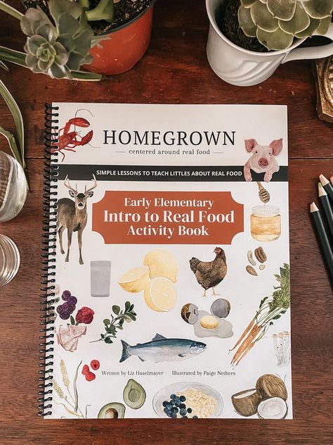 Homeschool Curriculum Planning, Unit Studies Homeschool, Catholic Homeschool, Homeschool Preschool Activities, Homeschool Lesson Plans, Food Education, Homeschool Books, Nature School, Homeschool Crafts