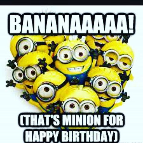 BANANAAAAA! That's Minion For Happy Birthday minion minions minion quotes minion quotes and sayings Happy Bday Meme, Minion Birthday Quotes, Minion Birthday Wishes, Happy Birthday Minions, Minions Funny Images, Funny Happy Birthday Wishes, Happy Minions, Minion Birthday, Birthday Wishes Funny