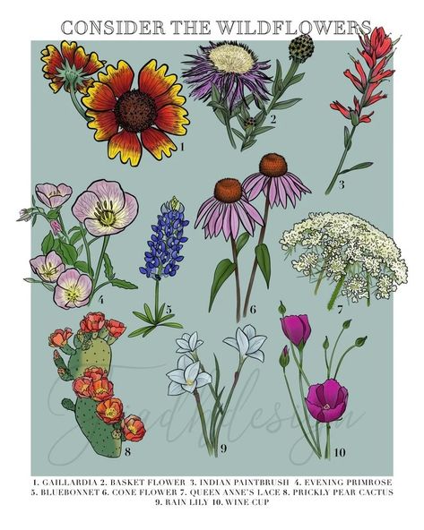 Texas Wildflower Bouquet Tattoo, Texas Wildflowers Art, Texas Wildflower Tattoo, Texas Wild Flowers, Consider The Wildflowers, Common Wildflowers, Painted Boots, Floral Lettering, Art Booth