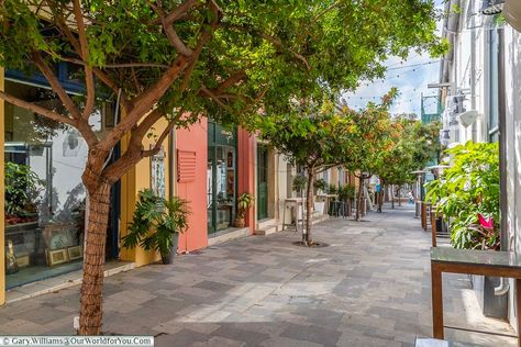 The tree-lined pedestrian alley in Old Town Paphos between brightly coloured shops Paphos Old Town, Paphos Cyprus, Perfect Things, Liverpool Street, Paphos, Goddess Of Love, Ancient City, Natural Rock, Archaeological Site