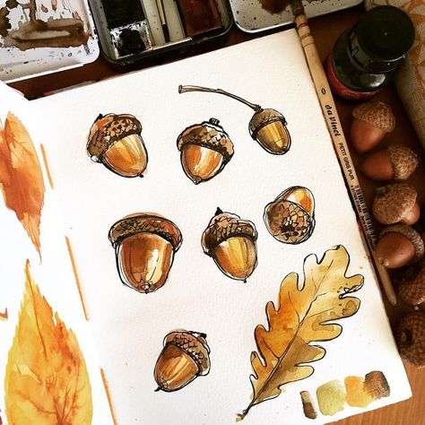 Acorn Drawing, Painting Journal, Fall Drawings, 달력 디자인, Diy Watercolor Painting, Watercolor Ink, Diy Watercolor, Art Lessons Elementary, Sketchbook Inspiration