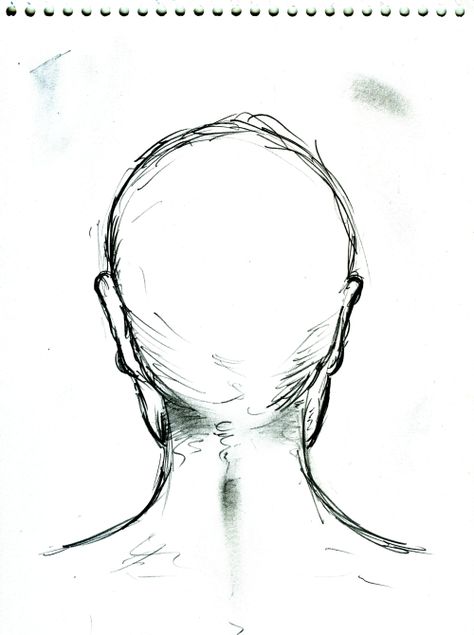 Back Of A Head Reference, Back Head Reference Drawing, Back Of The Head Drawing, Back Head Reference, Back Head Drawing, Back Of Head Reference, Back Of Head Drawing, Back Drawing, Drawing Bases