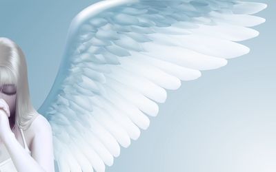 Angel wing wallpaper Gato Angel, Angelic Aesthetic, Angel Wallpaper, Baby Blue Aesthetic, Light Blue Aesthetic, Aesthetic Light, Angel Aesthetic, Blue Wings, White Wings