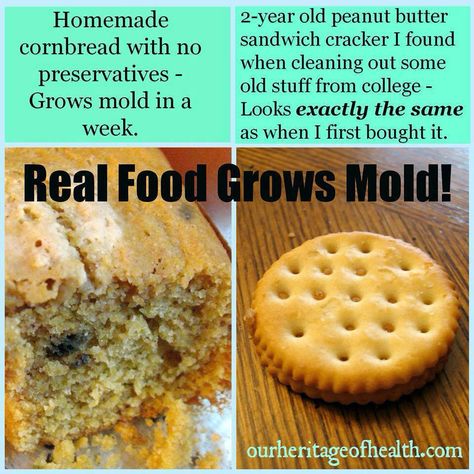 Real vs Processed Foods Healthy Facts, Peanut Butter Sandwich, Paleo Lifestyle, Primal Paleo, Eat Real Food, Food Facts, What You Eat, Healthy Mind, Healthy Options