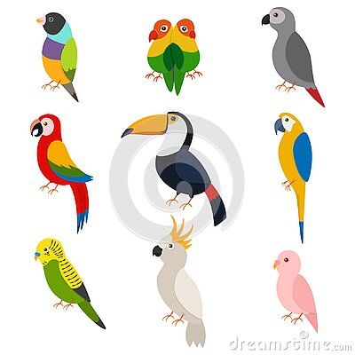 Parrot Cartoon, Deco Jungle, Cartoon Birds, Pottery Painting Designs, Exotic Bird, Tropical Theme, Exotic Birds, Tropical Birds, Bird Drawings