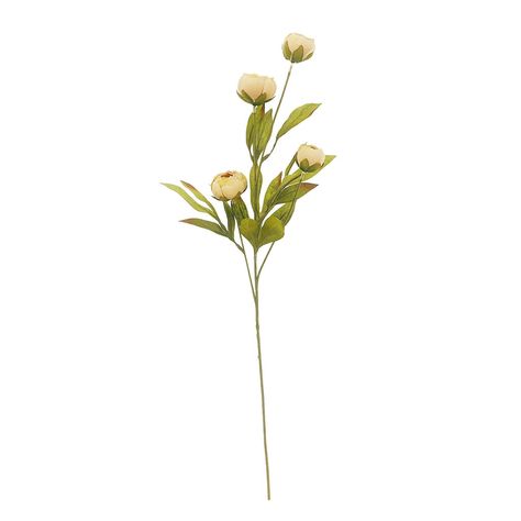 Tan Peony Stem by Ashland® | Michaels Peony Stem, Elegant Wedding Flowers, Floral Picks, Michael Art, Artificial Silk Flowers, Space Place, Floral Craft, Easter Centerpieces, Iron Wire