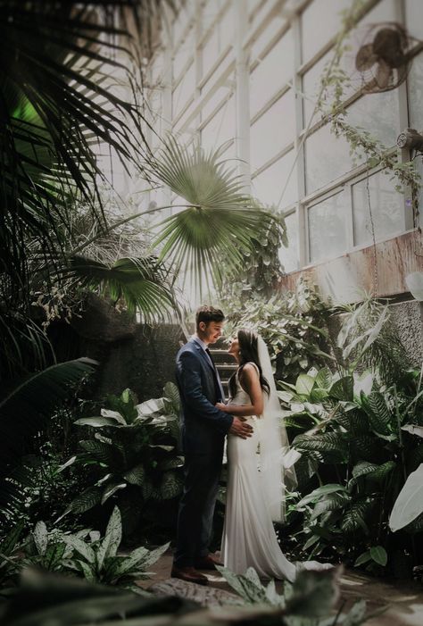 Green House Photography, Glass Green House Wedding, Wedding In Conservatory, Greenhouse Wedding Elopement, Modern Greenhouse Wedding, Botanic Garden Wedding Photoshoot, Muttart Conservatory Photography, Botanical Wedding Photoshoot, Greenhouse Wedding Theme