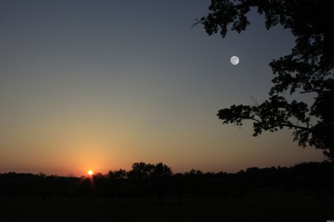 The Sun & Moon! Sun And Moon In One Picture, Sun And Moon Photography, Sun Vs Moon Aesthetic, Moon And Sun Aesthetic, Eclipse Dragon, Sun And Moon Aesthetic, Abandoned Aesthetic, Night Rainbow, Sun Aesthetic