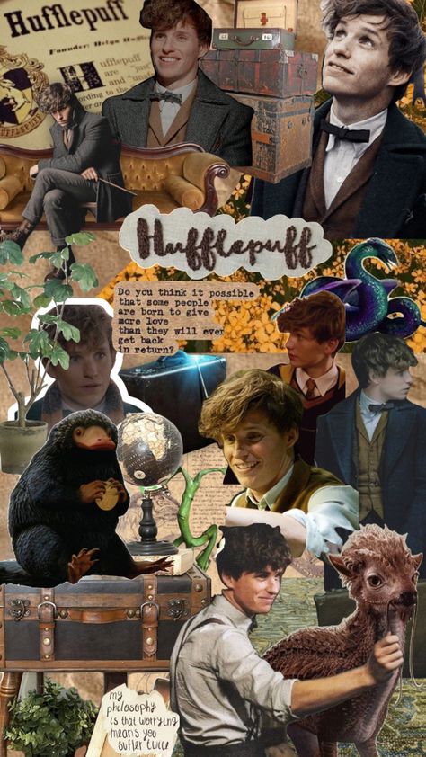 Fantastic Beats Wallpaper, Newt Scamander Aesthetic Wallpaper, Fantastic Beasts And Where To Find Them, Newt Scamander Fanart, Newt Scamander Icon, Newt Scamander Wallpaper, Fantastic Beasts Wallpaper, Fantastic Beasts Aesthetic, Newt Wallpaper