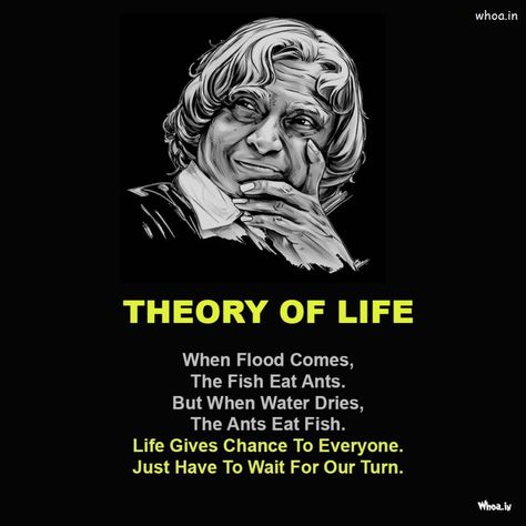 Theory Of Life Quotes Of Abdul Kalam , Abdul Kalam Photos Thoughts Quotes Apj Abdul Kalam, Dr Apj Abdul Kalam Motivational Quotes In Hindi, Quotes Of Abdul Kalam, Abdul Kalam Photos, Apj Abdul Kalam Quotes Inspirational, Abdul Kalam Quotes Inspirational, Dr Apj Abdul Kalam Quotes, Apj Abdul Kalam Thoughts, Apj Kalam Quotes