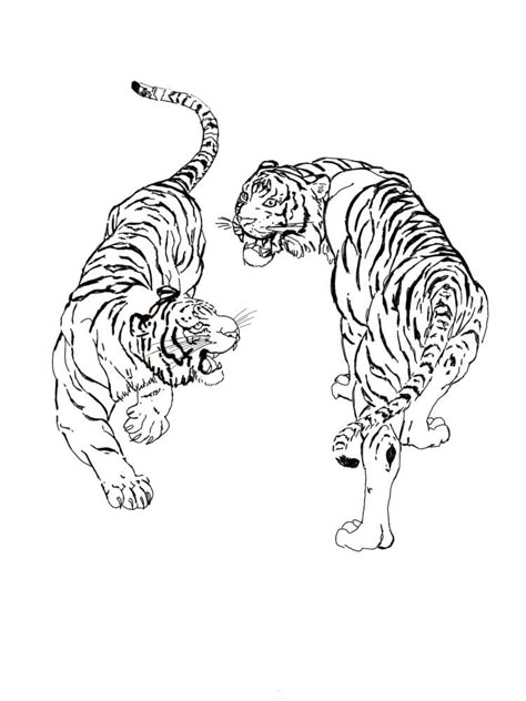 2 Tiger Tattoo, Asian Tiger Tattoo, Tigres Tattoo, Tiger Coloring, Optical Illusion Tattoos, Line Tattoo Ideas, Cat Work, Tiger Tattoo Design, Cute Tiger