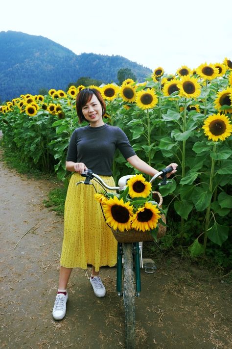 Sunflower Picking, Sunflower Ideas, Sunflower Festival, Basement Bar Designs, Bar Designs, Sunflower Garden, Farm Stand, Basement Bar, Sunflower Fields