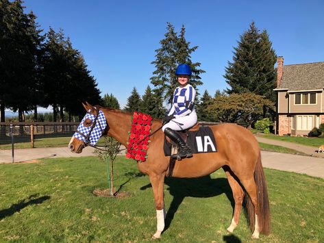 Chestnut Horse Halloween Costumes, Halloween Costumes For Horses And Rider Easy, Easy Horse Costumes For Horses, Horse Halloween Costumes Equestrian, Horse And Rider Costumes, Horse Halloween Ideas, Secretariat Horse, Horse Outfits, Horse Halloween Costumes