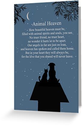 4" x 6" cards for every occasion. Digitally printed on heavyweight stock. Uncoated blank interior provides a superior writing surface. Comes with a kraft envelope. Additional sizes are available. A sweet spiritual poem of how beautiful heaven is with all the animal souls and spirits. A cute image of a dog and cat on a dog house looking at the heavens. A memorial tribute to a beloved pet. Memorial Ideas For Pets, Loss Of Dog Card, Sympathy Card For Loss Of Dog, Losing A Pet Quote Cat, Losing A Cat Quote, Saying Goodbye To A Pet, Losing A Pet Quotes, Pets Quotes, Loss Of A Dog