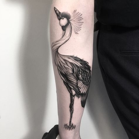 Cant get enough of mad birds! Loved doing this funky little crested crane! Thanks again Nathan! #cranetattoo #cranebird #crestedcrane… Crested Crane Tattoo, Crane Bird Tattoo, Crested Crane, Bird Tattoo Ideas, African Crown, Crane Tattoo, African Tattoo, Crane Bird, B Tattoo