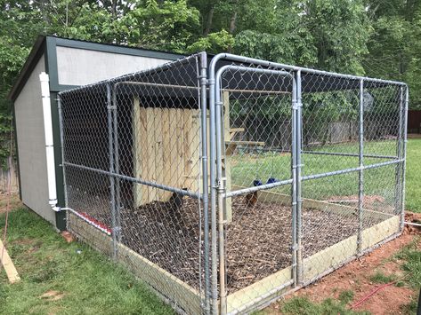 Chicken Coop Using Dog Kennel, Dog Kennel To Chicken Coop, Chicken Coop With Dog Kennel Run, Dog Pin Chicken Coop, Chicken Coop With Dog Kennel, Dog Kennel Into Chicken Coop, Dog Kennel Chicken Run, Chicken Coop Out Of Dog Kennel, Dog Pen Chicken Coop