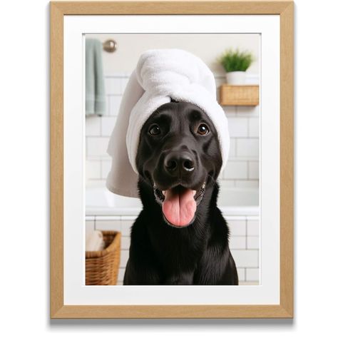 Towel On Head, Shower Pics, Black Labrador Retriever, Dog Bath, In Bathroom, Bathroom Towel, Black Labrador, Black Lab, Bathroom Humor