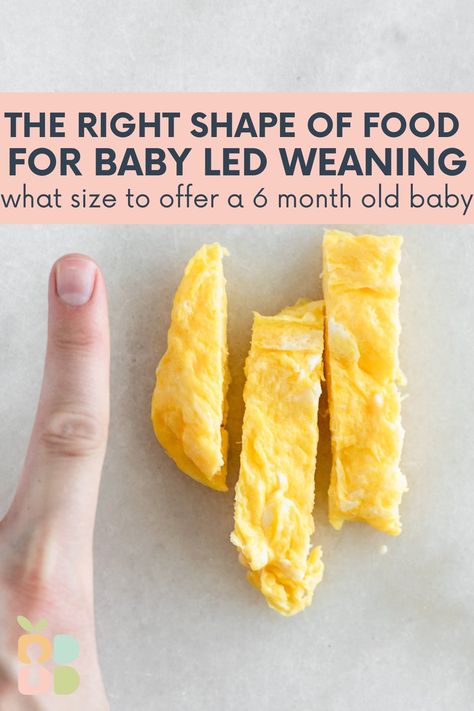 Blw Food Size Chart, Baby Led Feeding 6 Months, 6 Months Blw, How To Cut Food For Baby Led Weaning, Baby Lead Weaning 6months, How To Serve Eggs To 6 Month Old, Eggs For 6 Month Old Baby, Led Weaning First Foods 6 Months, Baby Led Weaning Meals 6 Months