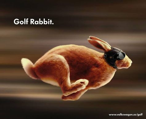 The Photo Manipulations of Garrigosa Studio | Psdtuts+ Rabbit Run, I Got Your Back, Rabbit Art, Bunny Rabbit, Animal Kingdom, Animal Photography, Tortoise, Cute Animals, Golf