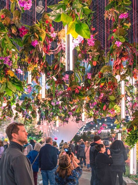 Stunning PHS flower show showcasing hanging flowers Festival Flower Decoration, Jennifer Reed, Philadelphia Flower Show, Fundraising Activities, Technology Theme, Colorful Things, Flower Face, Gardening Trends, 27th Birthday