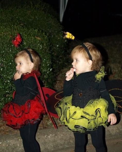 Meems LOVED getting their Halloween costumes each year. The cutest ladybug and bumble bee. #seniorsunday Bee And Ladybug, Ladybug Costume, Bee Costume, Teddy Bears, Bumble Bee, The Cutest, Halloween Costume, Bears, Halloween Costumes