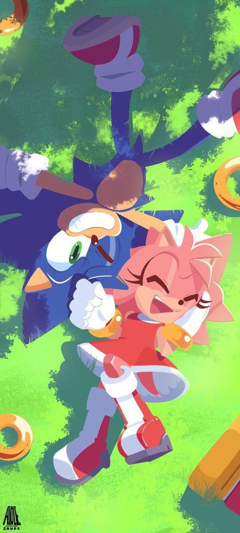 Sonamy Comic, Shadow And Amy, Amy The Hedgehog, Sonic Heroes, Sonic And Amy, Sonic Funny, Sonic 3, Sonic Franchise, Hedgehog Art