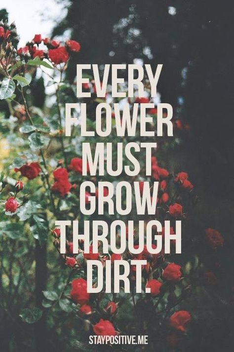 I'm only re-pinning this because the first thing I thought when I read this was: "It's not dirt, it's soil!" Haha thank you Mr. Jones for that wisdom. Snow Patrol, E Card, Wonderful Words, Quotable Quotes, Cute Quotes, The Words, Great Quotes, Mantra, Inspirational Words