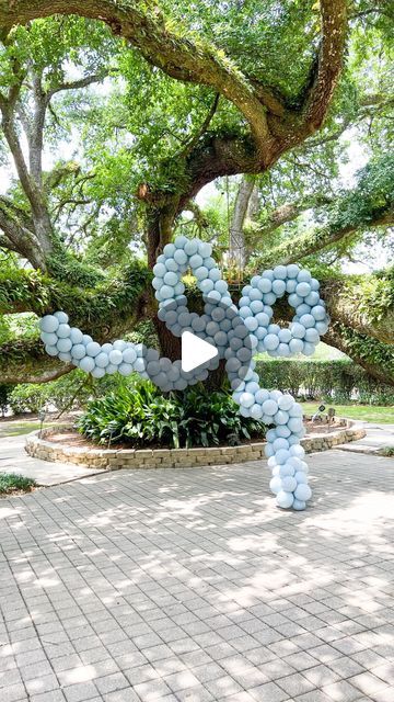 Ashley Cash, Party shop & balloons in Louisiana on Instagram: "Want to learn how we make our balloon bow?! 👀  There are many, many ways to do a balloon bow, but here is our method!  Some details: 👉 I’m using 11” latex (the color is @tuftexballoons fog) sized down to 8” 👉 No, I do not have a regulator pump. We don’t do enough classic decor for me to justify the cost of the pump. Plus, I don’t enjoy doing classic design 🤷‍♀️ So this sizer works just fine for me. Honestly, I can eye ball it pretty well by now, but I do use the sizer for larger projects so I can zone out 👉 This bow is 9’ wide by 9’ long. So the 4 pieces we made are each 9’ long, and use 36 duos  •Step 1: pull your balloons. I like to pull a section at a time •Step 2: inflate duos and tie neck to neck. Don’t tie them too t Link O Loons Balloons, Bow Balloon Arch, Bow Balloons, Balloon Bow, Volleyball Bows, Bow Garland, Eye Ball, Large Balloons, Tulle Bows