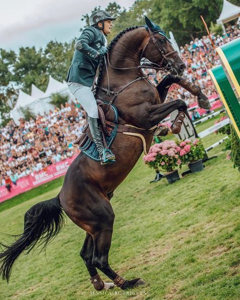 Show Jumping Photography, Showjumping Photography, Show Jumping Horses, Equestrian Helmet, Types Of Horses, Horse Aesthetic, Horse Blankets, Horse Equestrian, Horse Jumping