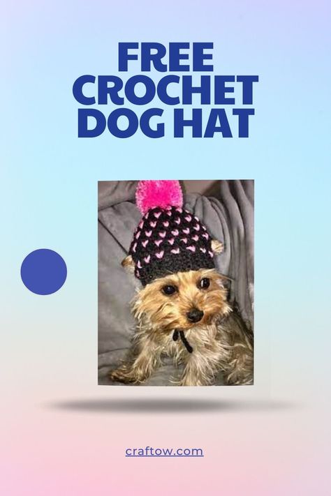 Free Crochet Dog Hat Hats For Dogs Crochet Free Pattern, Crochet Dog Hat Free Pattern Small, Crochet Dog Hats Free Pattern, Crochet Pet Hats Free Pattern, Crochet Dog Hat Pattern, Dog Beanie Pattern, Crochet Dog Beanie, Crochet Dog Hats, Crochet Dog Hat Free Pattern