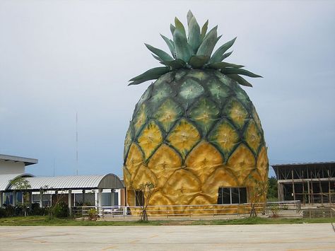 Before Spongebob inhabited... Pineapple Palace, Thailand Novelty Architecture, Big Pineapple, Pineapple House, Funny House, Pineapple Planting, Pineapple Express, Unusual Buildings, Interesting Buildings, Unique Buildings