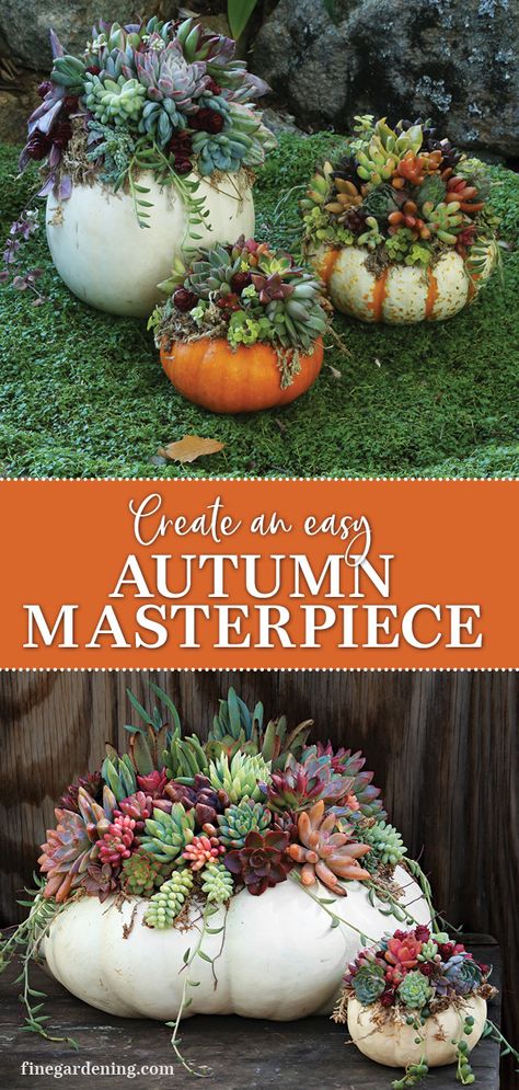 White Pumpkin Succulent Centerpiece, How To Make Pumpkin Succulent Centerpiece, Thanksgiving Succulent Centerpiece, Succulents On Pumpkins, Succulents In A Pumpkin, Pumpkin With Succulents Centerpiece, Succulent Pumpkins Centerpiece, Succulents And Pumpkins Centerpiece, Diy Succulent Pumpkin