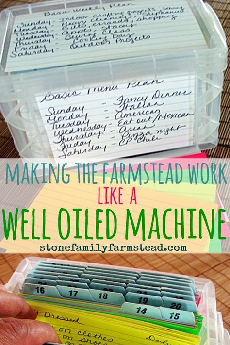 Farm Organization, Farm Management, Farming Ideas, Homesteading Ideas, Homesteading Diy, Farm Plans, Homestead Farm, Dream Farm, Farm Business