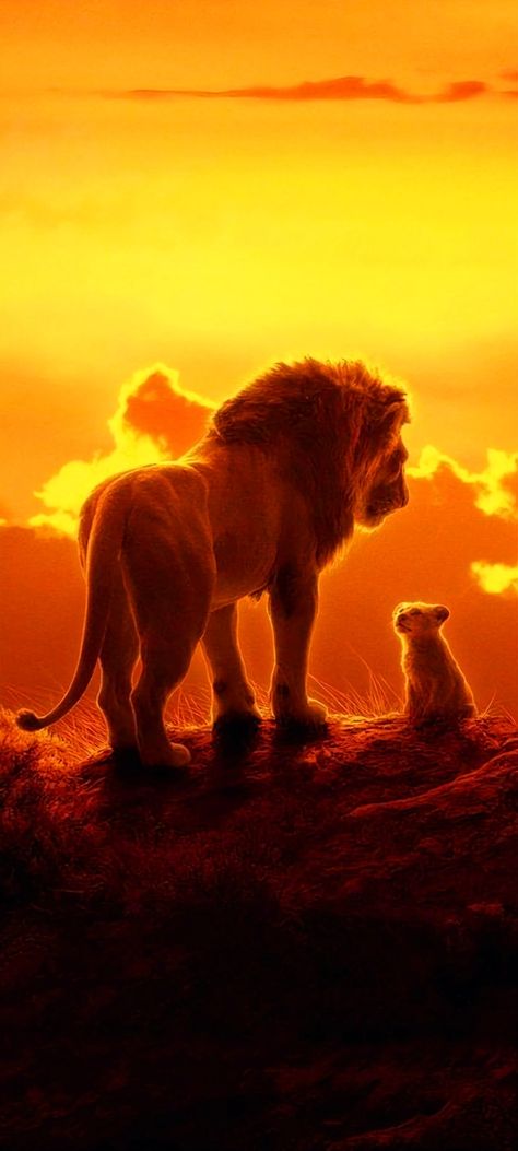 Lion King Animals, Lion Hd Wallpaper, Lion King Quotes, Lion King Movie, Il Re Leone, Western Wallpaper Iphone, King Pin, Lion Pictures, Disney Phone Wallpaper