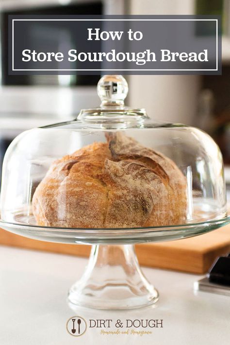 How to store sourdough bread and the best ways to keep it fresh? We put a lot of time and energy into making our amazing homemade sourdough bread and want it to last as long as possible. Here are 8 different ways to store sourdough bread. Ways To Eat Sourdough Bread, Homemade Bread Loaf, Sourdough Bread Starter, How To Store Bread, Homemade Sourdough Bread, Bread Starter, Homemade Sourdough, Homemade Bread Recipes Easy, Homemade Bread Easy