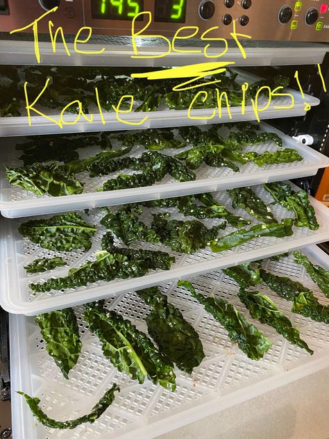 Dehydrated Kale Chips Recipe, Kale Chips Dehydrator Recipes, Dehydrator Kale Chips, Dehydrating Kale In Dehydrator, Kale Chips Dehydrator, Best Kale Chips, Dehydrated Kale, Dehydrated Kale Chips, Kale Snacks