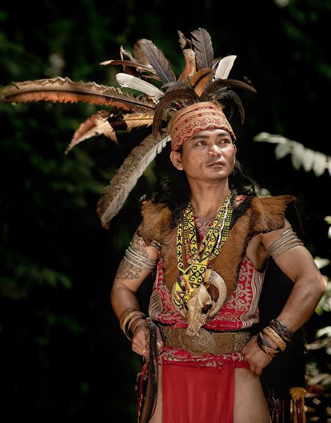 The Dayak Warrior by Arif Kaser on 500px Ngepan Iban, Precolonial Philippines, Dayak Borneo, North Sulawesi, Royal Costume, Asian History, Digital Painting Tutorials, Action Poses, Fashion Hacks Clothes