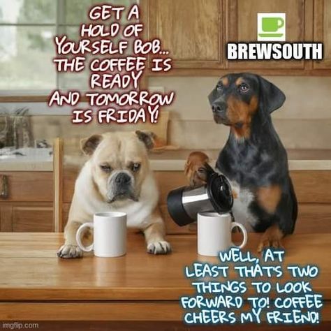 Thursday Coffee Humor Hilarious, Thursday Coffee Humor, Coffee Humor Hilarious, Thursday Coffee, Tomorrow Is Friday, Coffee Sayings, Coffee Jokes, Friday Coffee, Funny Coffee Quotes