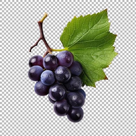 PSD grapes with leaf isolated on transpa... | Premium Psd #Freepik #psd #wine-grapes #grape-vine #grape #grape-fruit Grapes Reference, Fruits Reference, Grapes Photography, Vine Grape, Haha Photos, Grape Design, Wine Grapes, Grape Pattern, Statue Sculpture