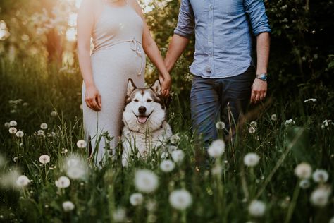 Casual Maternity Pictures With Dog, Maternity Pictures With Dog And Husband, Outdoor Maternity Photos With Dog, Maternity Poses With Dog, Maternity Photo Shoot With Dog, Maternity Photoshoot With Dog, Maternity Pictures With Dog, Maternity Shoot With Dog, Maternity Photography With Dog