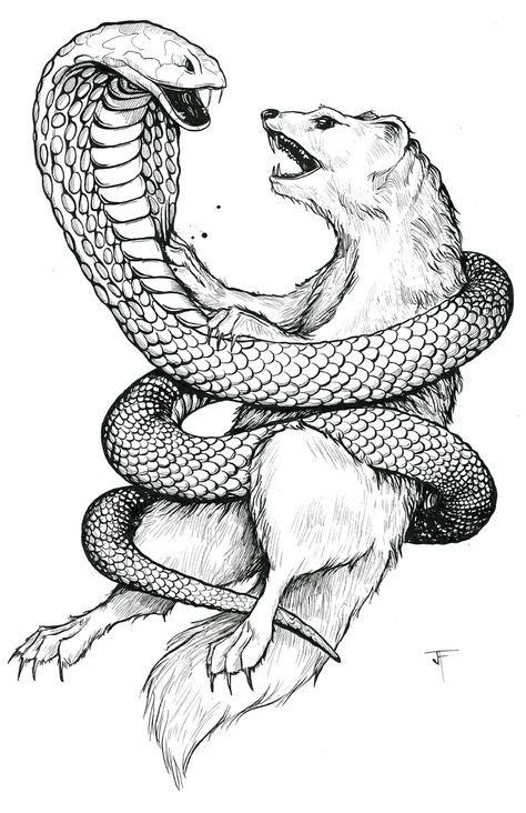 Mongoose tat Idea# 2 A Snake