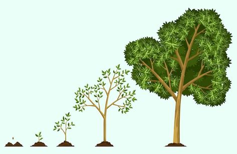 Seed To Tree Illustration, Tree Growth Illustration, Big Tree Drawing, Steps Illustration, Tree Emoji, Tree Growth, 100 Logo, Tree Stickers, Tree Seeds