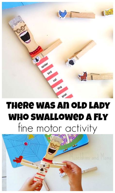 "There Was An Old Lady Who Swallowed a Fly" Activity - Munchkins and Moms Story Baskets, Literacy Bags, Story Retelling, Swallowed A Fly, Cute Classroom, Fine Motor Activity, Story Sequencing, Sequencing Activities, Teaching Toddlers