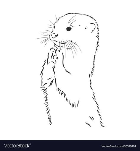 Otter Sketch, Sea Sketch, Otter Drawing, Otter Tattoo, River Otter, Vector Sketch, 22nd Birthday, Sea Otter, Animal Tattoos