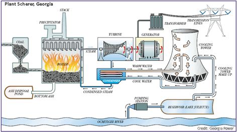 Coal Power Plant, Biomass Power Plant, Thermal Power Station, Coal Fired Power Plant, Hydro Power Plant, Power Engineering, Thermal Power Plant, Plant Activities, Steam Boiler