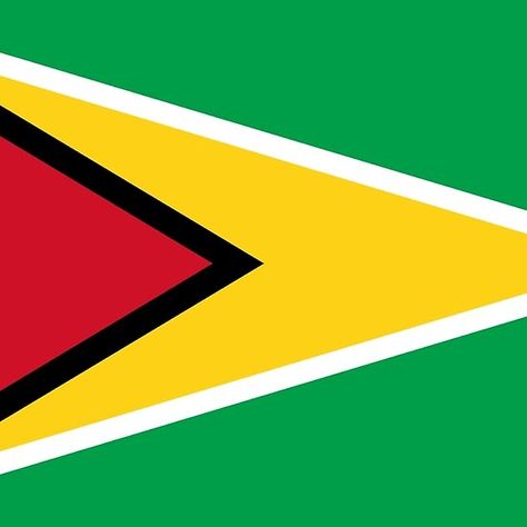 Guyanese Flag, South America Flag, Whitney Smith, Rhythm Dress, Dirt Bikes For Sale, Guyana Flag, Dads Room, List Of Countries, Island Holiday