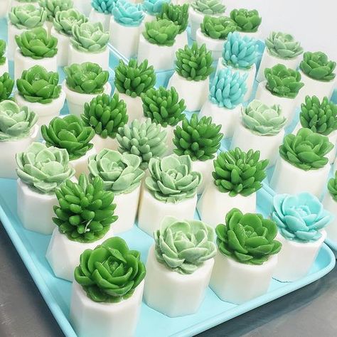 Succulent Soap Ideas, Diy Unique Gifts, Cactus Gift Ideas, Soap Decoration, Succulent Soap, Cactus Cake, Cactus Gift, Unique Soap, Succulent Gift